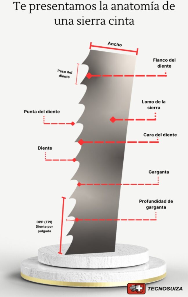 anatomia de una cierra cinta